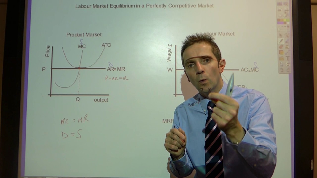 Perfectly Competitive Labour Market