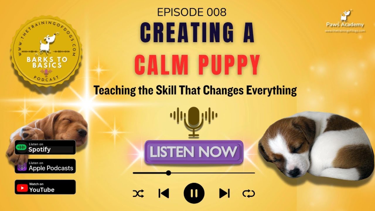 Creating a Calm Puppy PodCast Episode 008