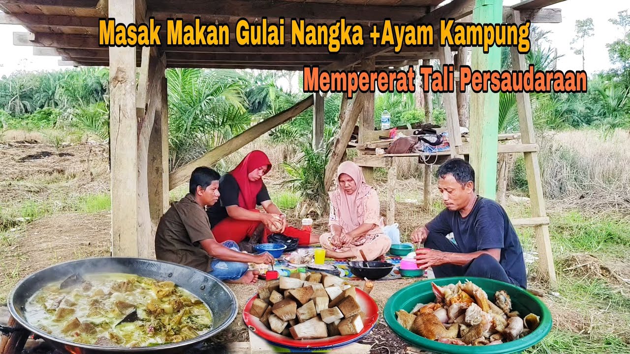 MASAK MAKAN GULAI AYAM KAMPUNG+NANGKA ||MEMPERERAT TALI PERSAUDARAAN
