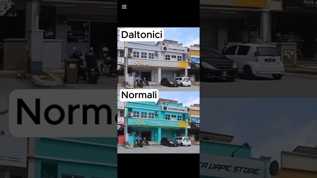 come vedono il mondo le persone con problemi di salute