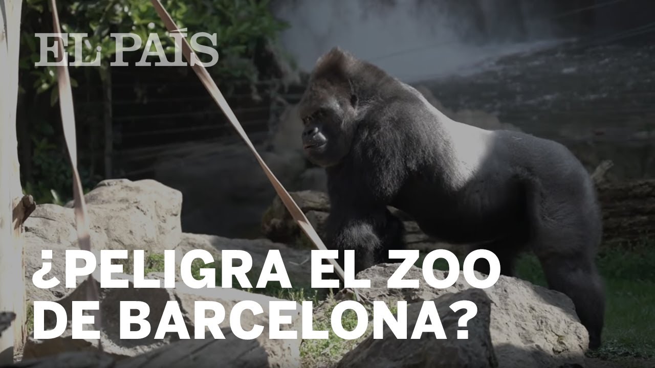 ¿Barcelona puede cerrar su Zoo?