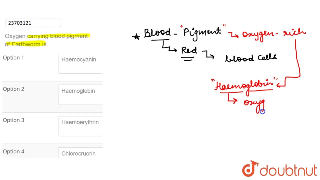 Oxygen carrying blood pigment of Earthworm is