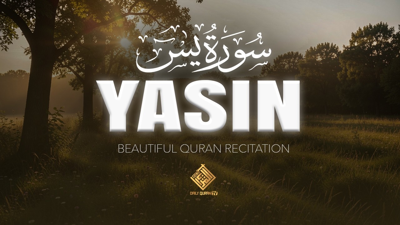 SURAH YASIN (Yaseen) Full | Heart Soothing Quran Recitation | Peaceful Tilawat | Daily Quran TV