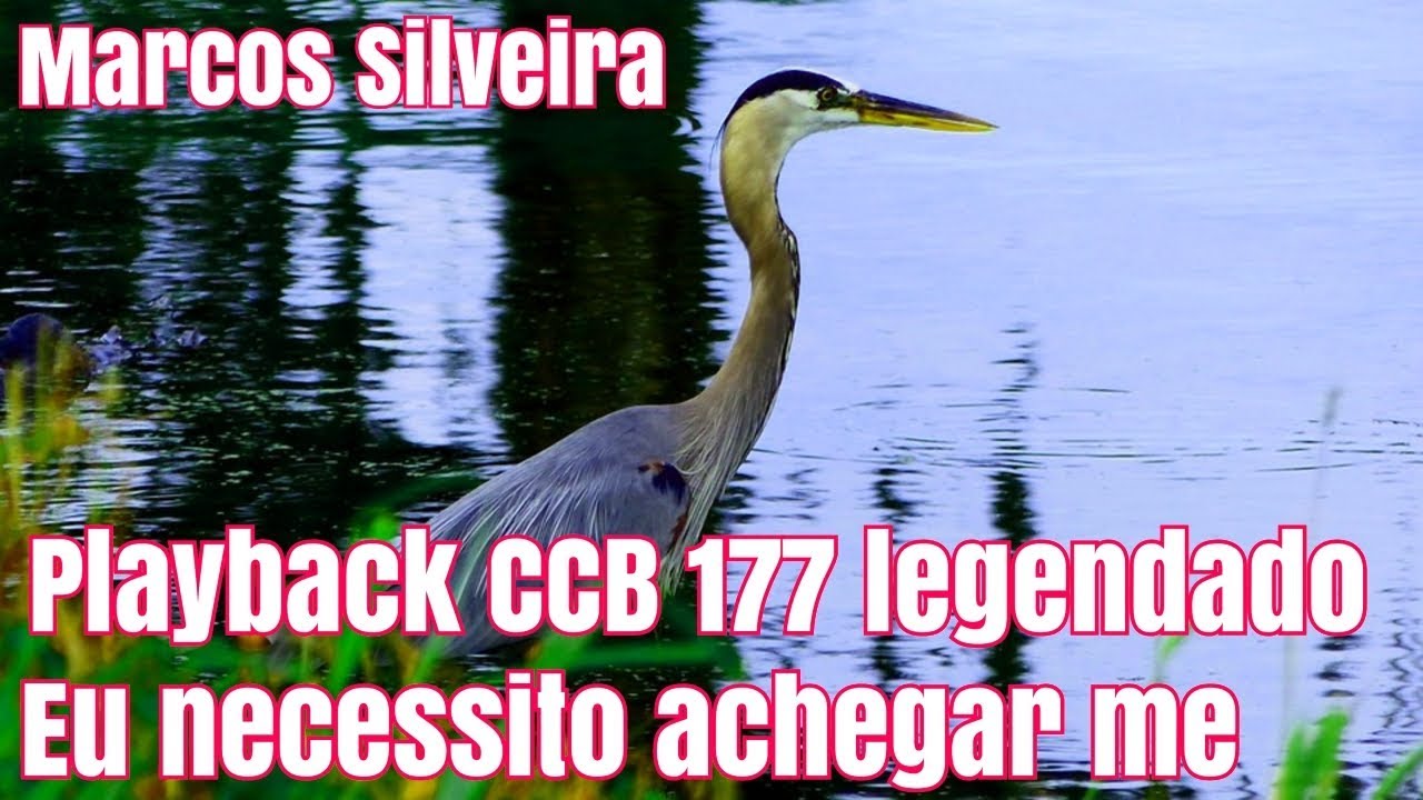 PLAYBACK CCB EU NECESSITO ACHEGAR ME 177 LEGENDADO