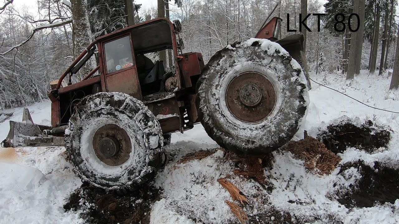 LKT 80 Fail/Stihl MS 500i Big Tree