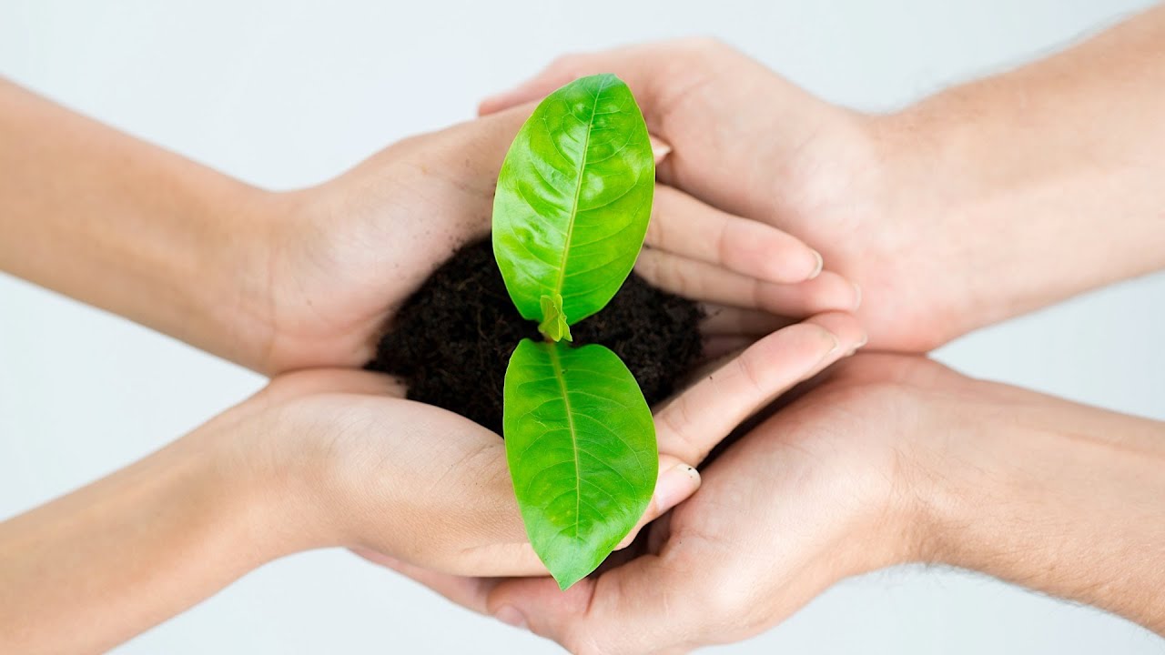 What Is Sustainable Living? | Green Living