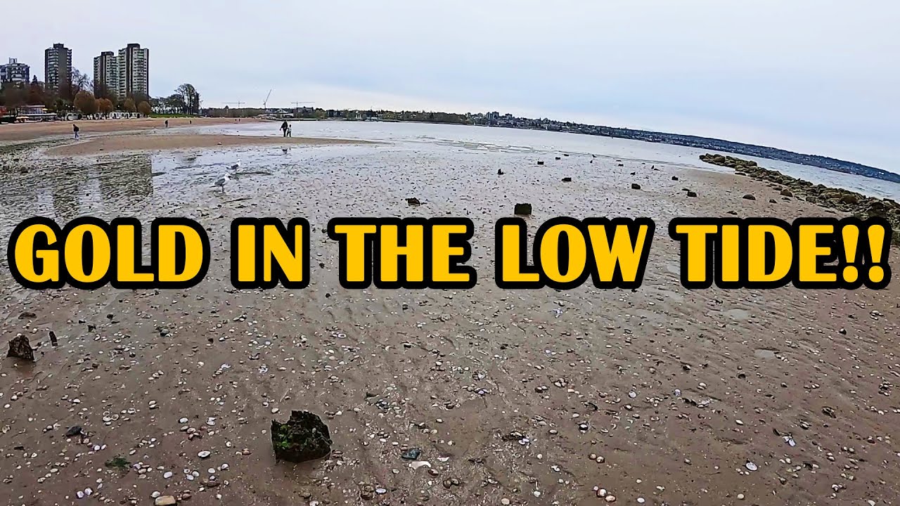 I FOUND GOLD on the Beach With The Minelab Equinox 900