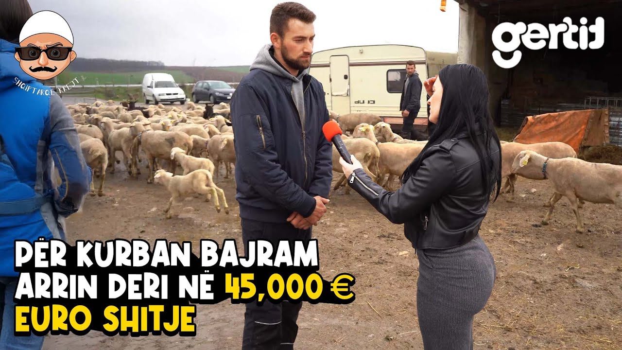 Jam marak në dele jam shërbyes i kupes gjithmonë - Për Kurban Bajram arrin rreth 45 mijë Euro shitje