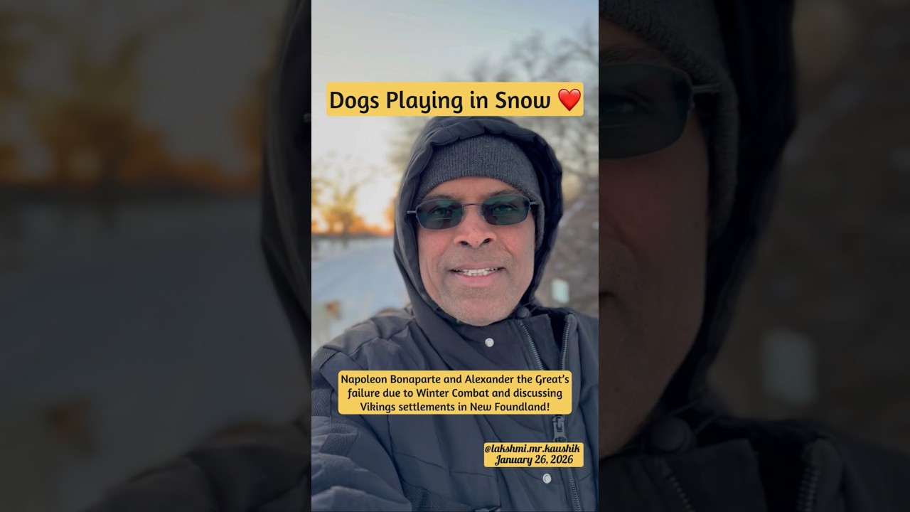 Dogs Playing in Snow ❤️ Napoleon Bonaparte and Alexander’s  failed Winter Combat Vikings settlements