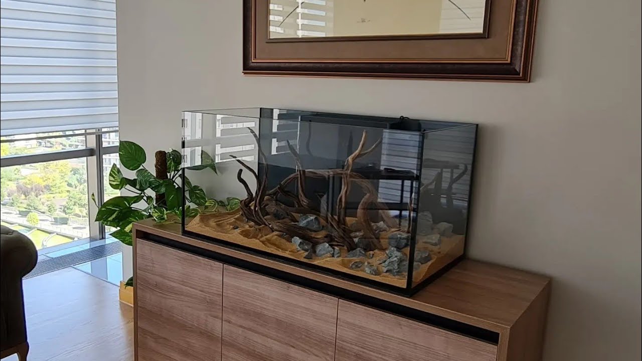 You can do it too!!! Build Your Own 65 Gallon Sump Aquarium
