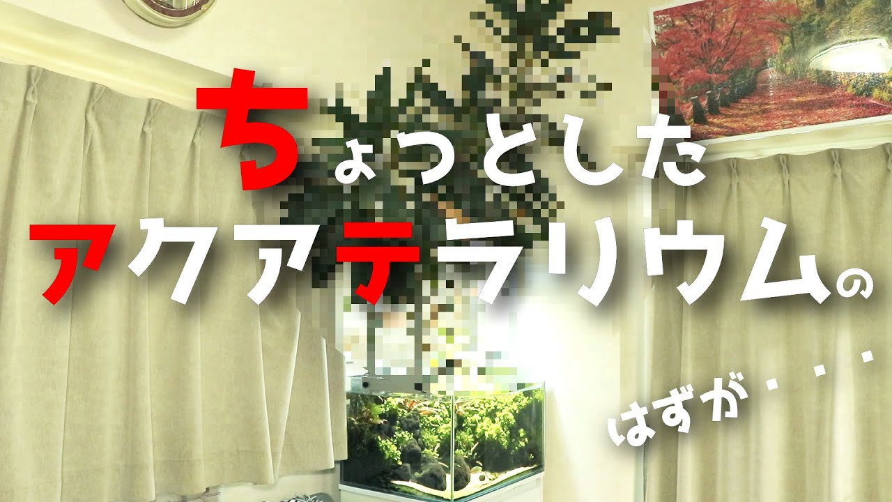 【アクアリウム】テラリウム付き水槽に巨大な○○が！！