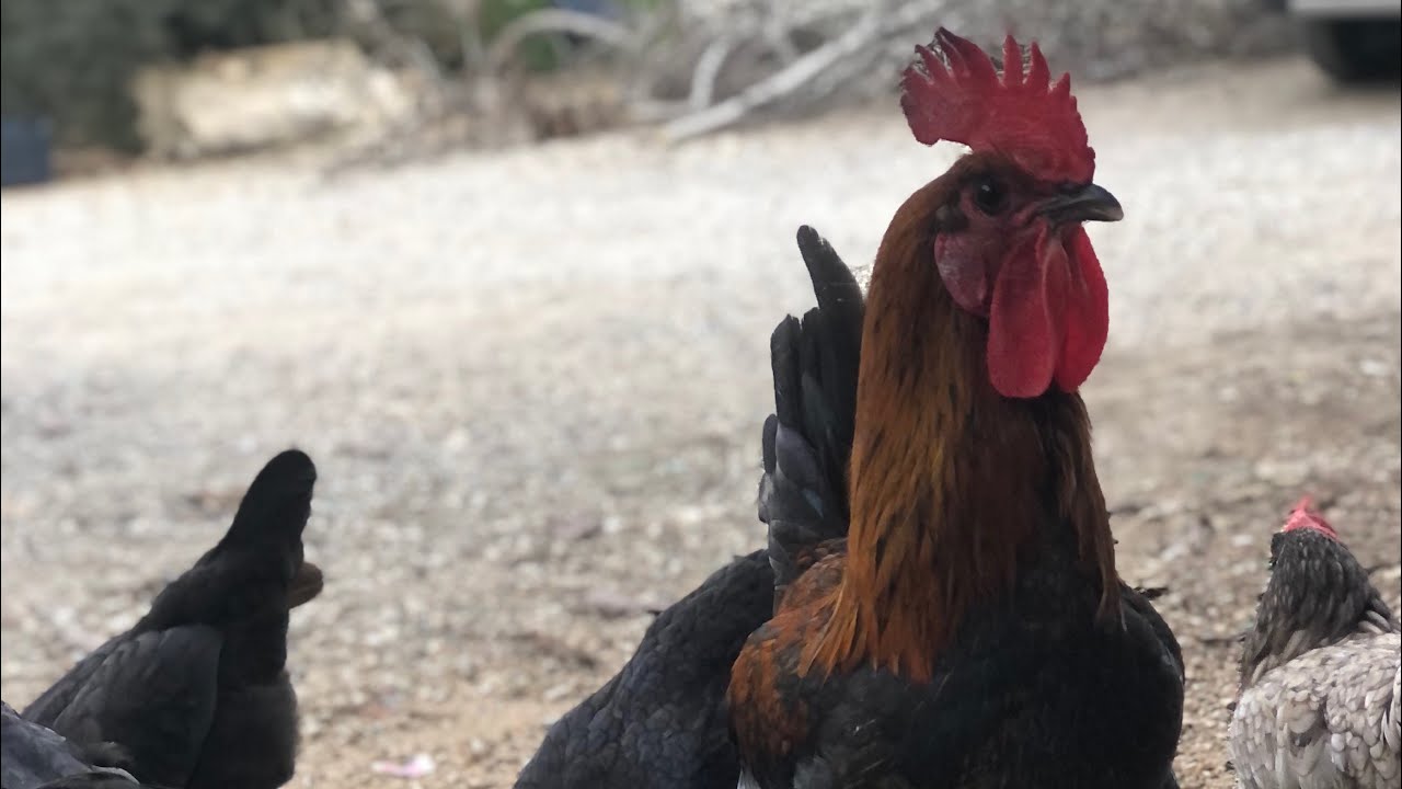 Doğal terapi nedir görüyorsunuz !!!