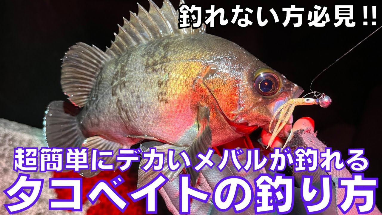 誰でも超簡単に良型メバルが釣れるライトゲーム用タコベイトがやばい‼︎