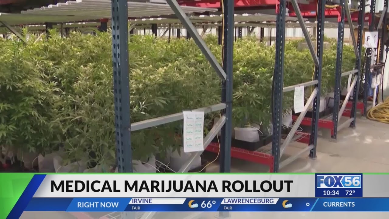 When will medical marijuana dispensaries open in Kentucky?