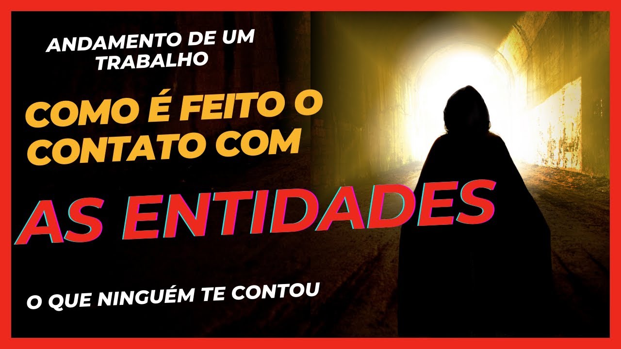 Acompanhamento dos casos, como me comunico com os guias?