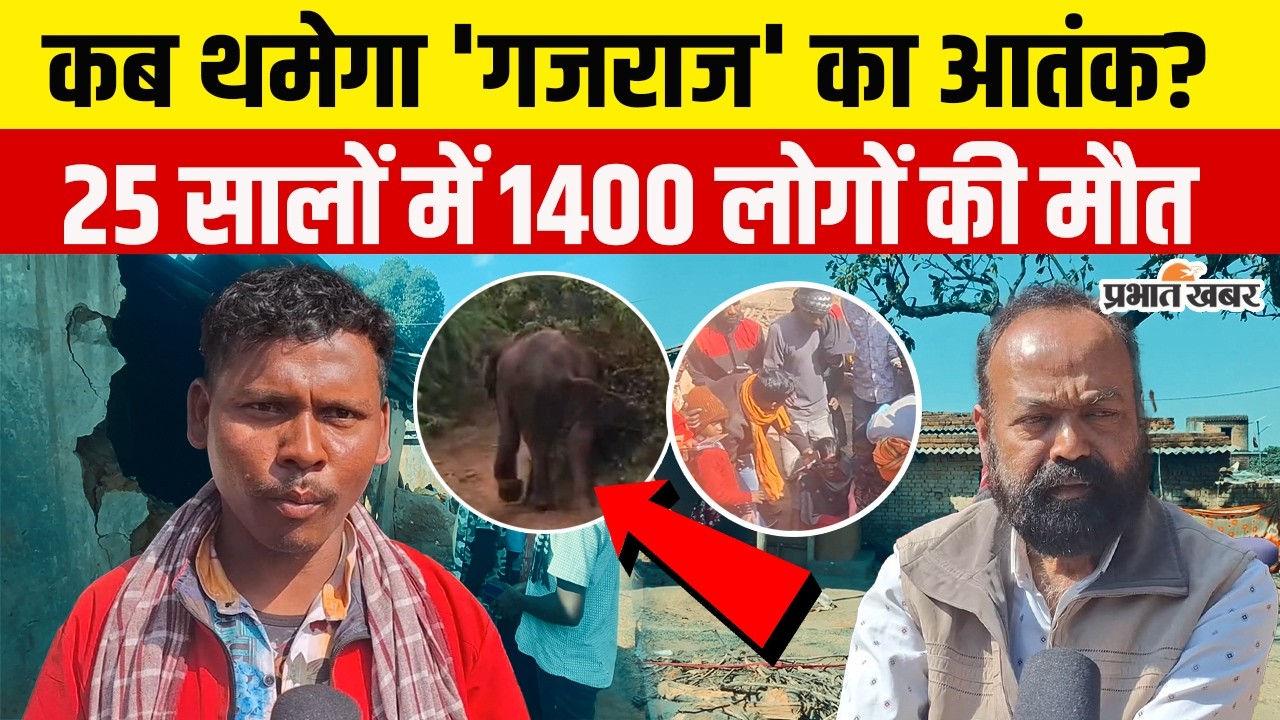 हाथियों के खौफ में जीता झारखंड, 25 साल में 1400 मौतें...और फिर 6 की जान गई Jharkhand | Hazaribagh