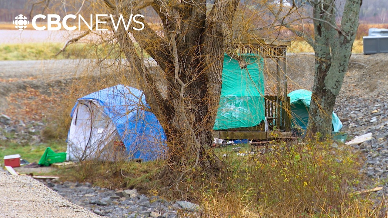 Is Halifax's homelessness crisis getting worse?