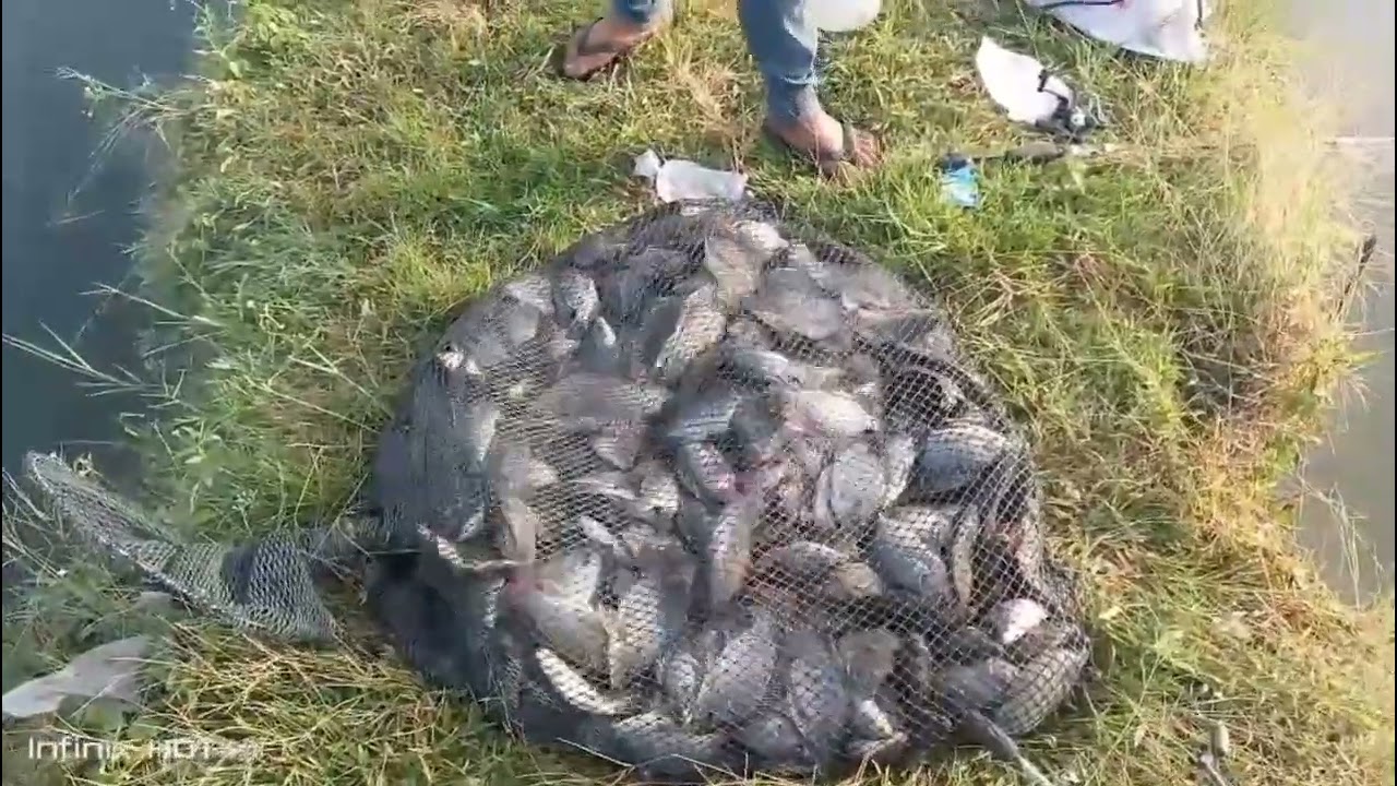 @buka ke 2 kolam wak sendok paluh merbau minggu tgl 07-03-2026 jam 10 malam tkt 120k