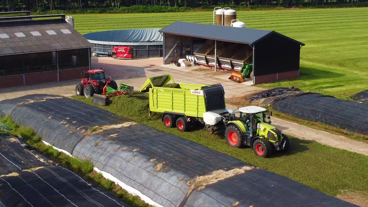Poppink grass silage