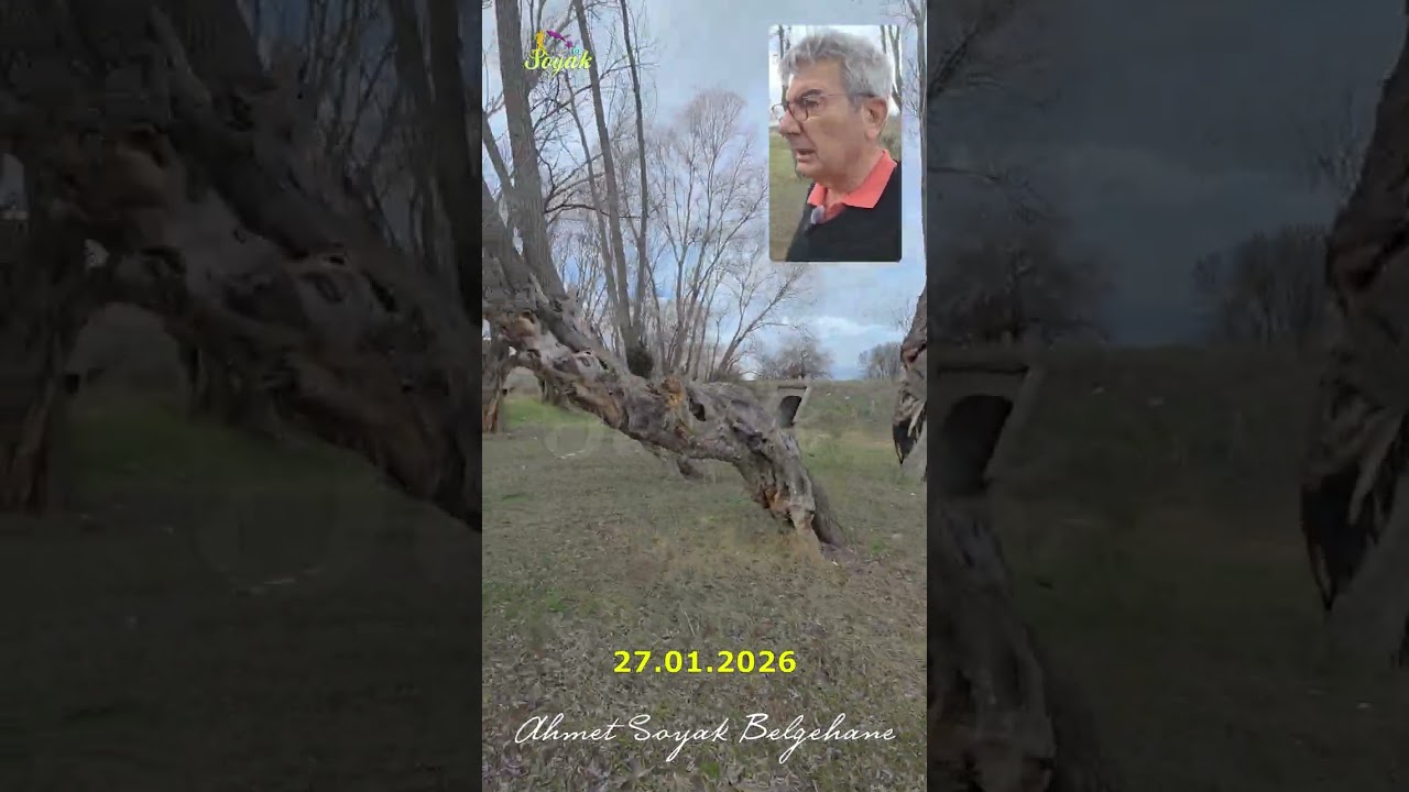 Kınık Çayı, Kınıkçayı Deresi, Kınık  Deresi ( Kurtboğazı Barajı) (27.01.2026)