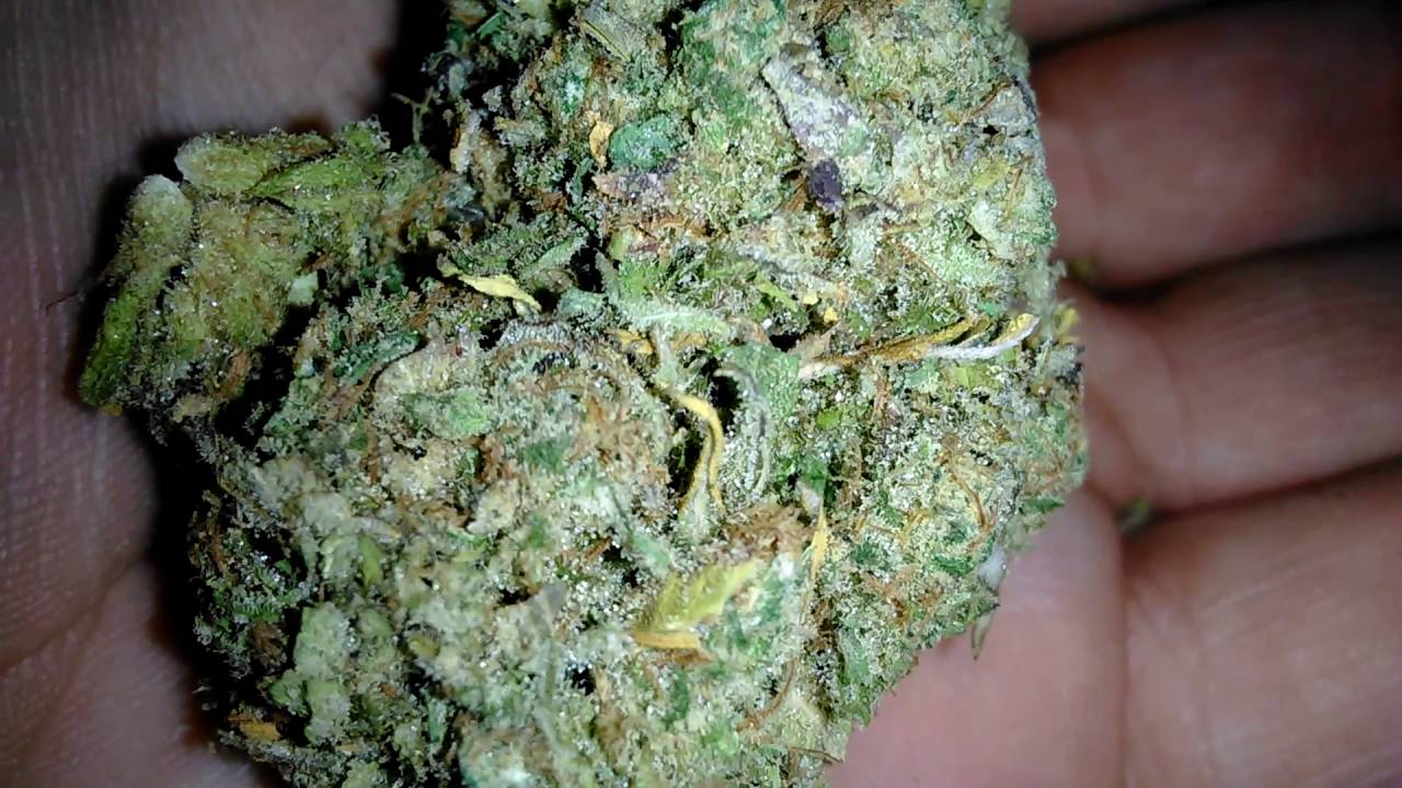 God Bud Northwest Dank