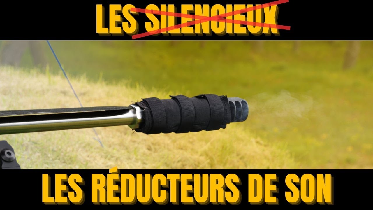 Comment choisir son réducteur de son