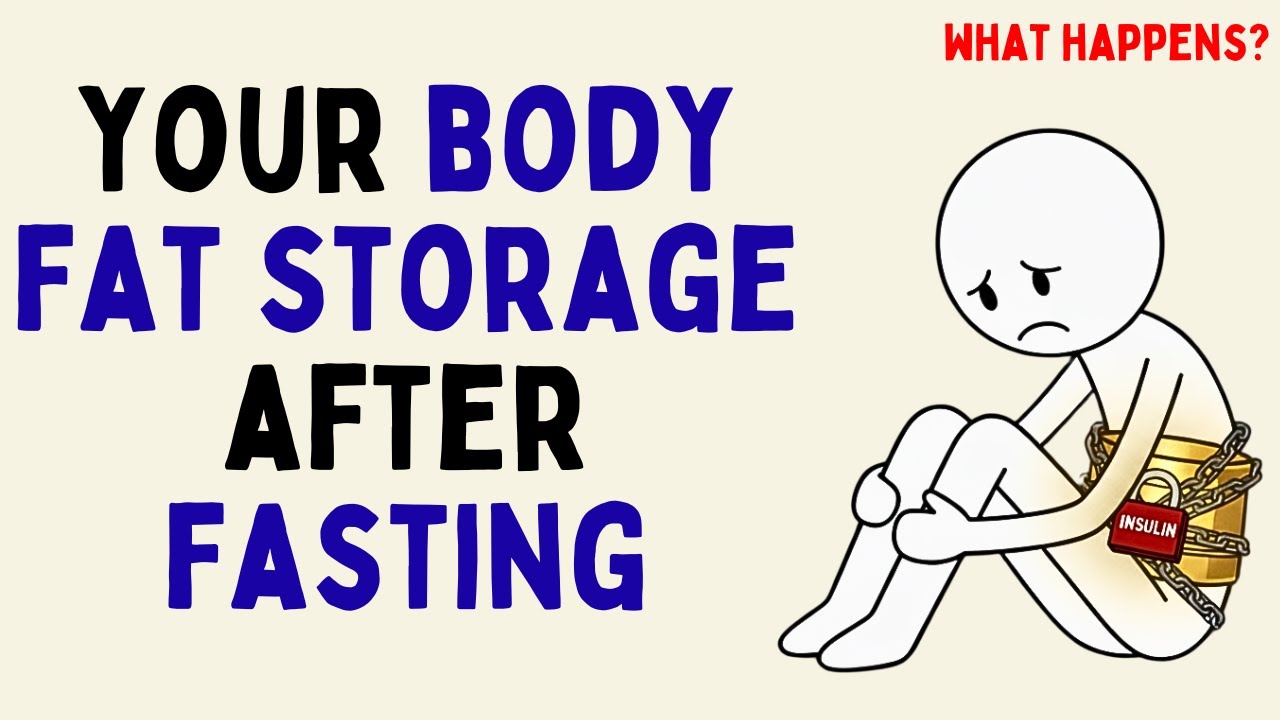 What Happens to Your Body Fat Storage With Intermittent Fasting (Science Explained)