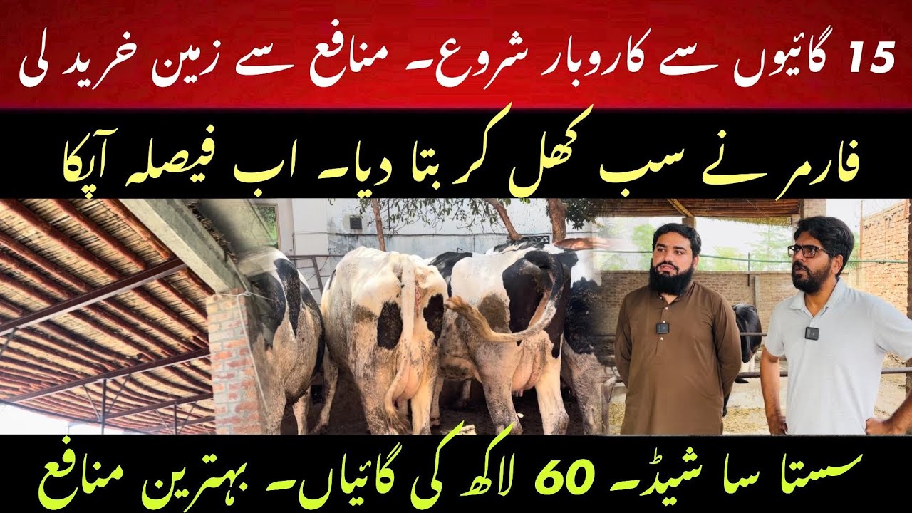 15 cow business and millions profit II 60 lac investment and profit II Small scale dairy farming