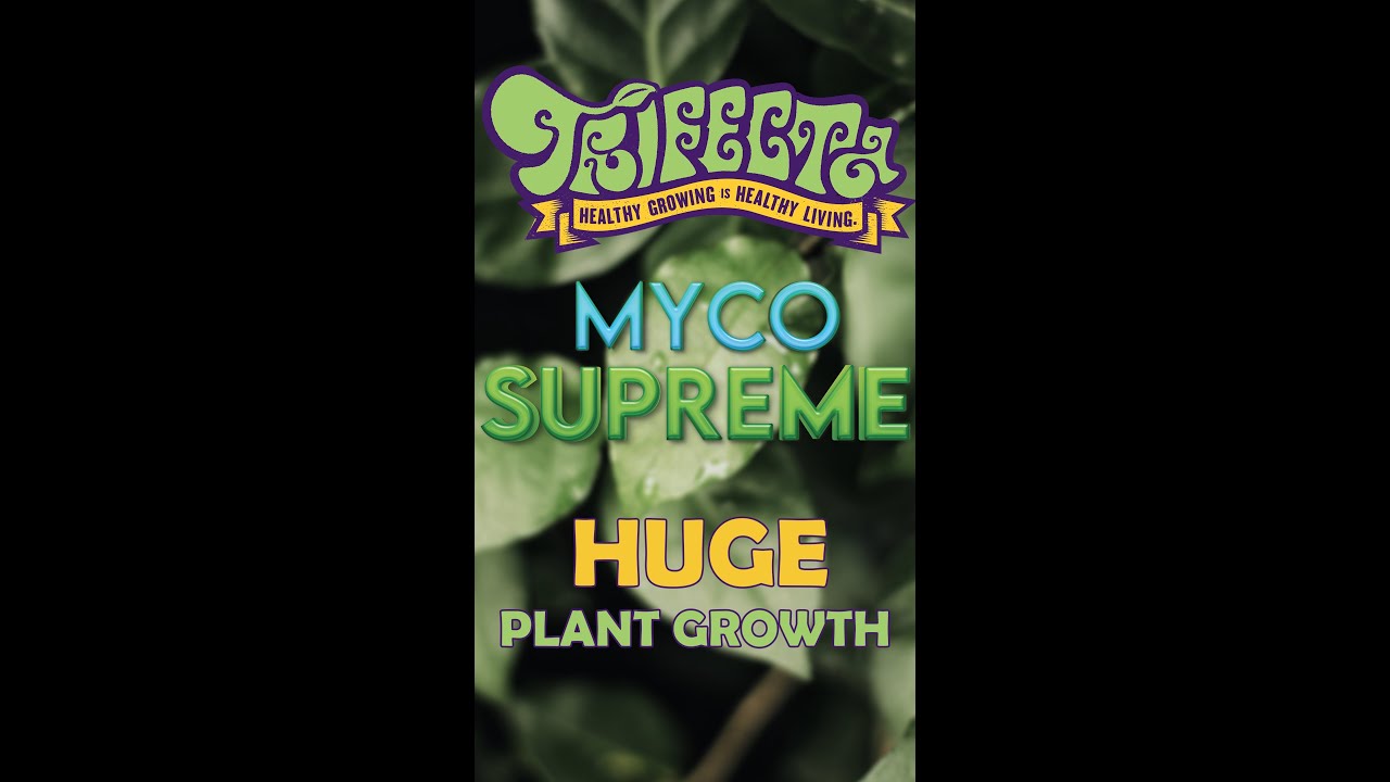 start off your plants with this #mycorrhiza #mycorrhizae