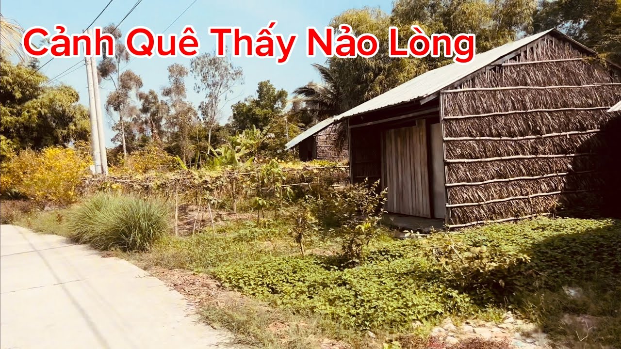 Khám Phá Vùng Quê Nhà Lá Ven Đường, Ngày Tết Vắng Vẻ Buồn Hiu Thấy Nảo Lòng.