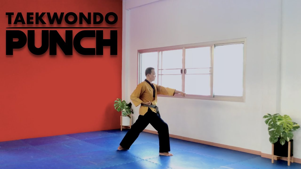 TAEKWONDO PUNCH  I  JIREUGI