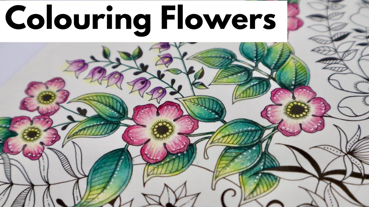 Relaxing colouring || SECRET GARDEN || Part 1 || Polychromos Faber Castell