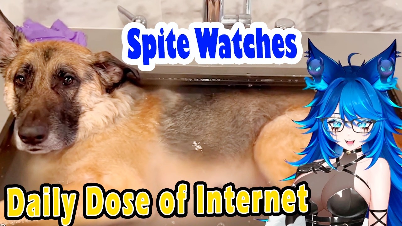 Spite Watches Daily Dose… Immediately Regrets Everything