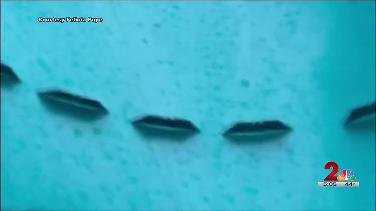 Razor blades found on Eagle River park slide
