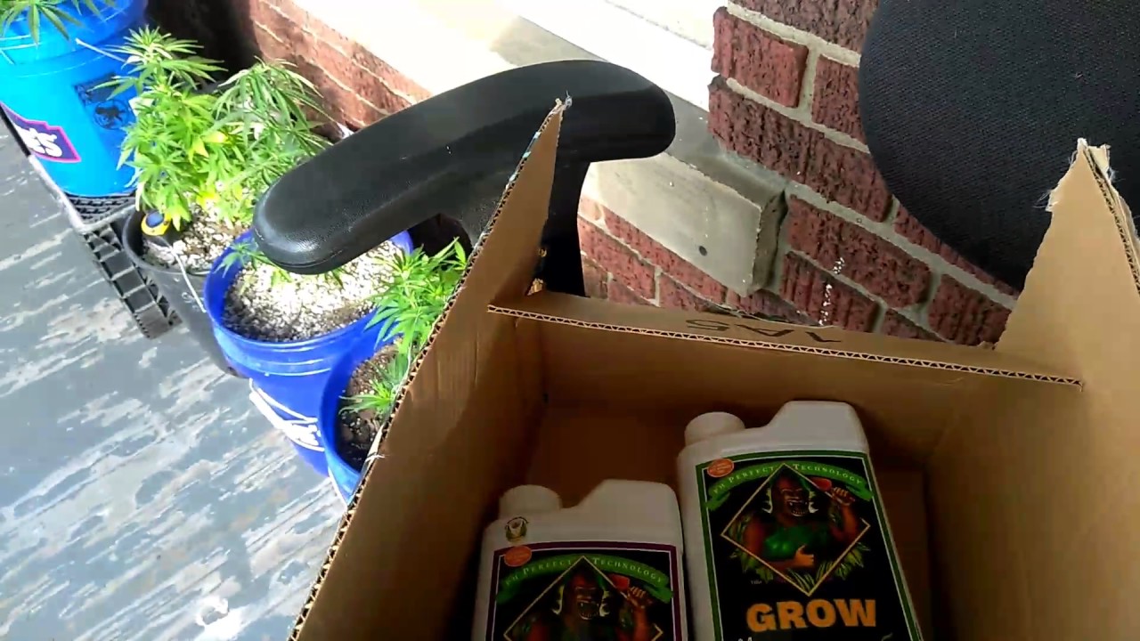 Cannabis Grow Update - Unboxing Amazon Advanced Nutrients (Package Is Missing Nutrients!!!)