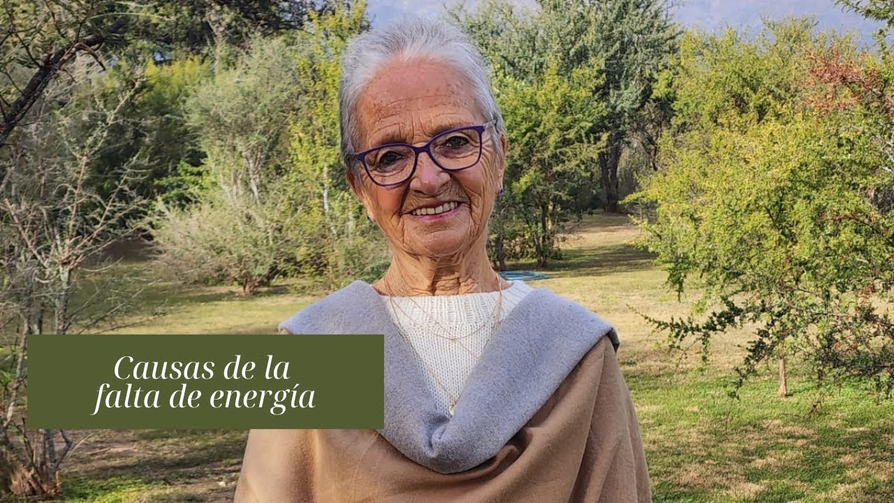 Causas de la falta de energía