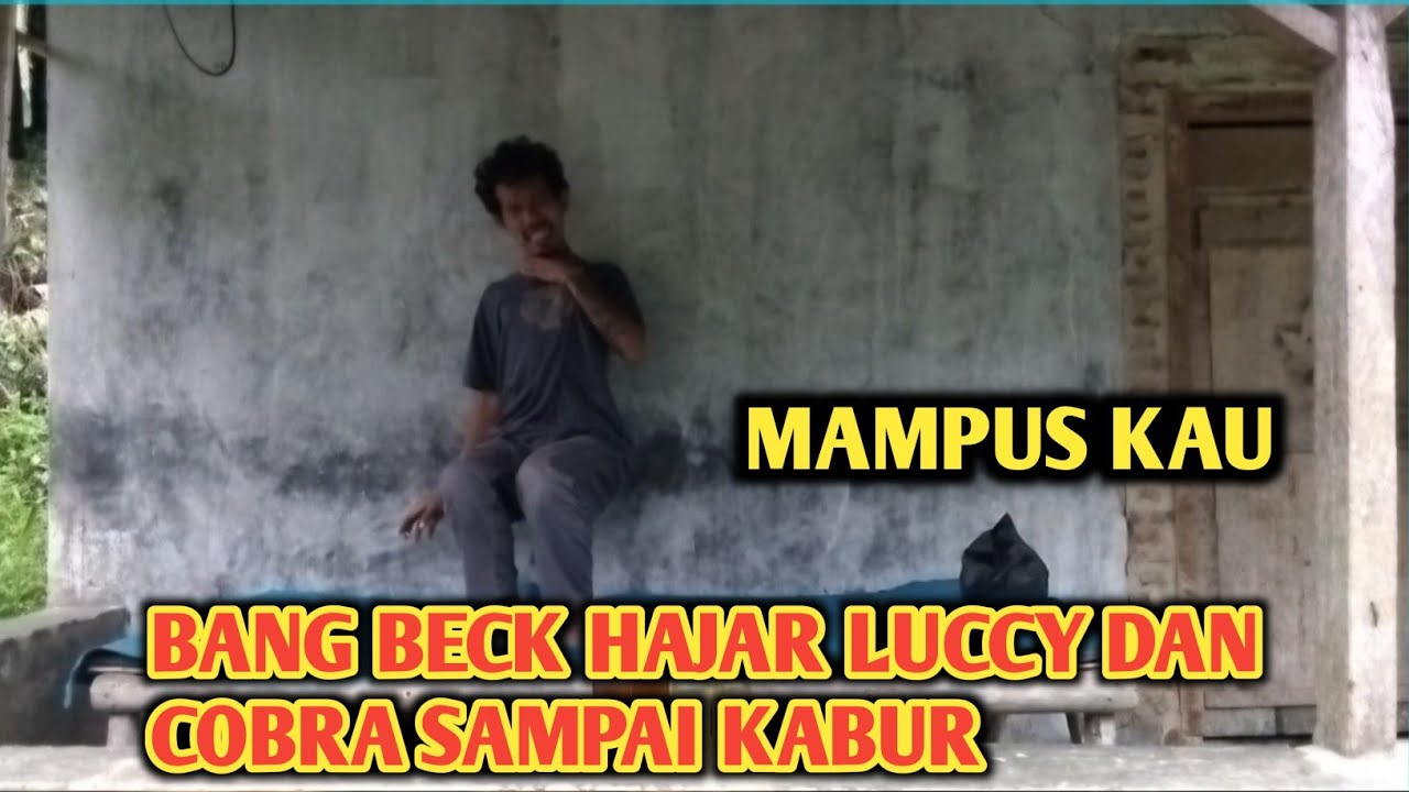 🔴BANG BECK TERBARU||BANG BECK HAJAR COBRA DAN LUCCY AKIBAT GANGGU BANG BECK