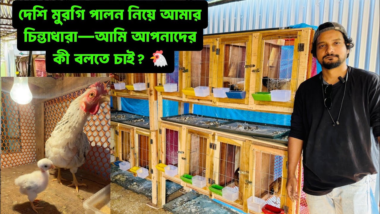 দেশি মুরগি পালন নিয়ে আমার চিন্তাধারা—আমি আপনাদের কী বলতে চাই? 🐔