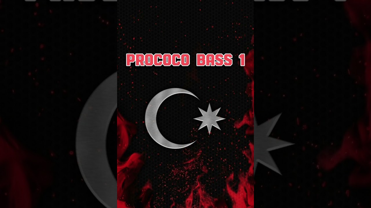 ProCoCo Bass 1