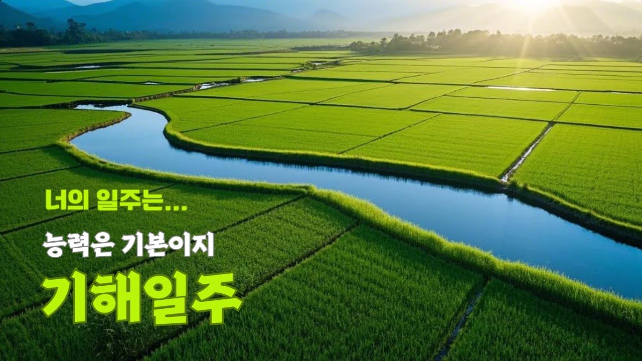[너의 일주는] 능력은 기본, 기해일주