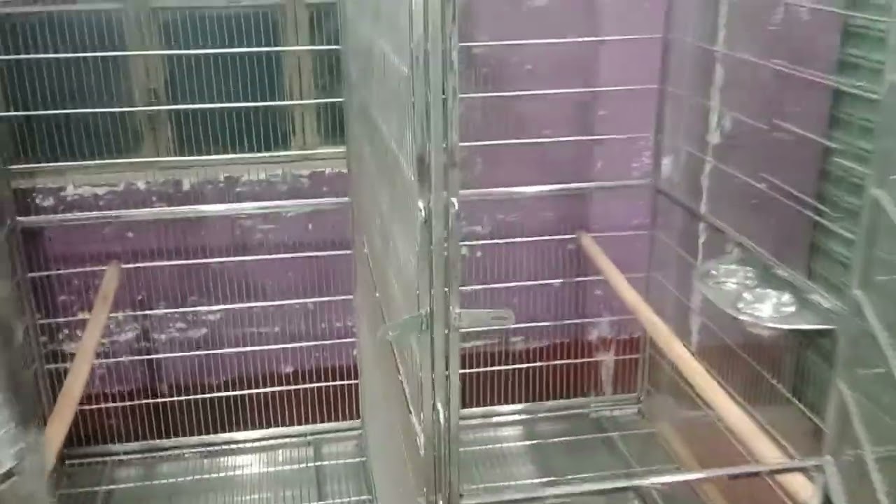 Birds cage in steel all India dilevery Content 9054993567