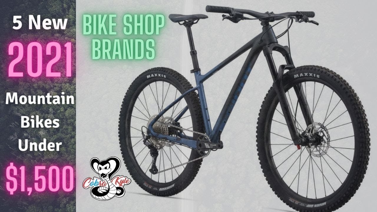5 Best Mountain Bikes Under $1,500 - 2021 Mountain Bikes!