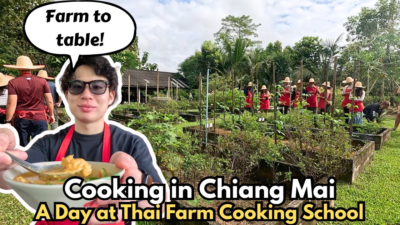 From Soil to Soul: Thai Farm Cooking School Chiang Mai (Full Experience)