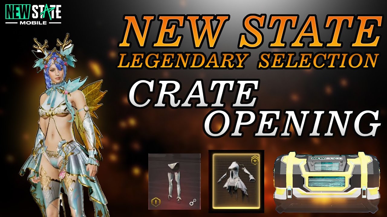 New State Legendary Selection Crate  Opening