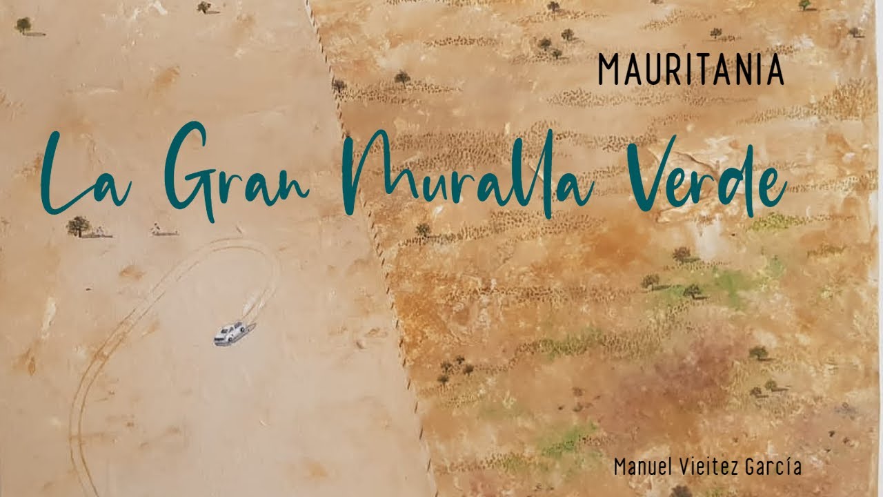 La Gran Muralla Verde en Mauritania, FRENAR LA DESERTIZACIÓN y transformar el DESIERTO EN SABANA
