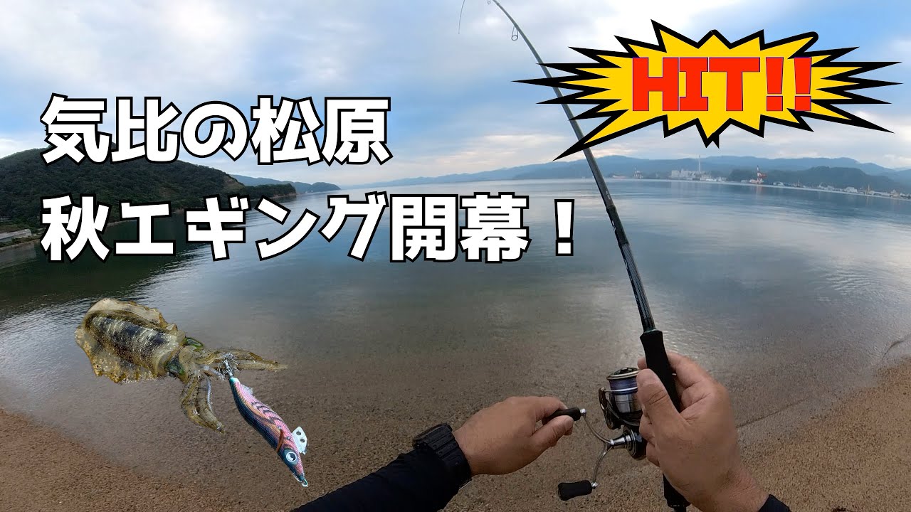 秋のエギング開幕！気比の松原