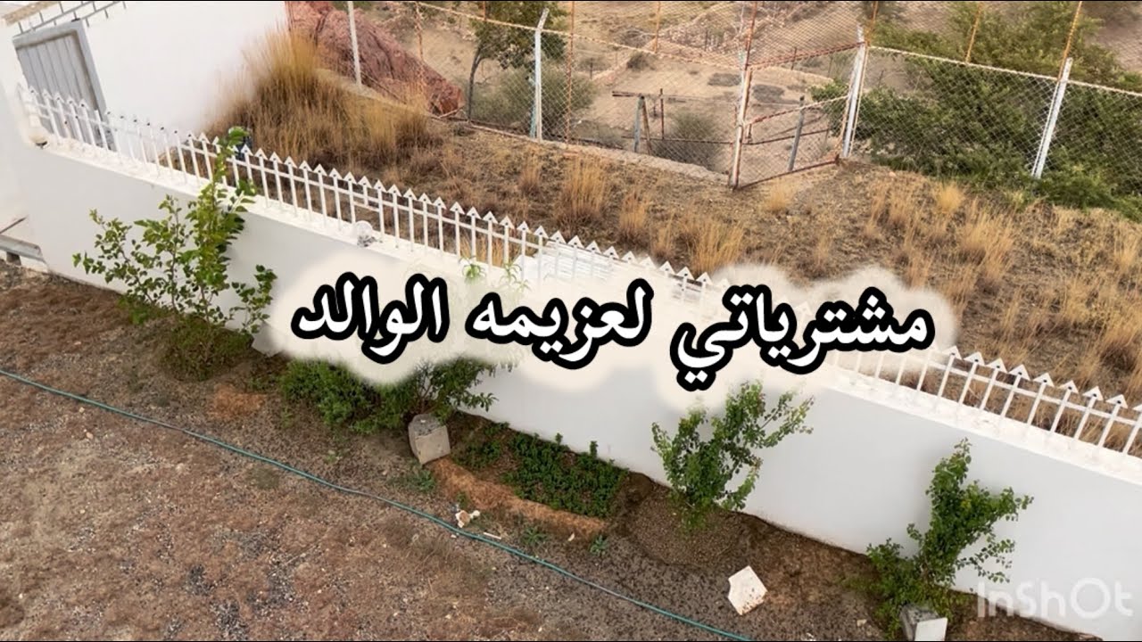 يالله نجيب مشتريات عزيمة الوالد ونستعد لأكثر من ١٥٠ شخص #explore #روتين 