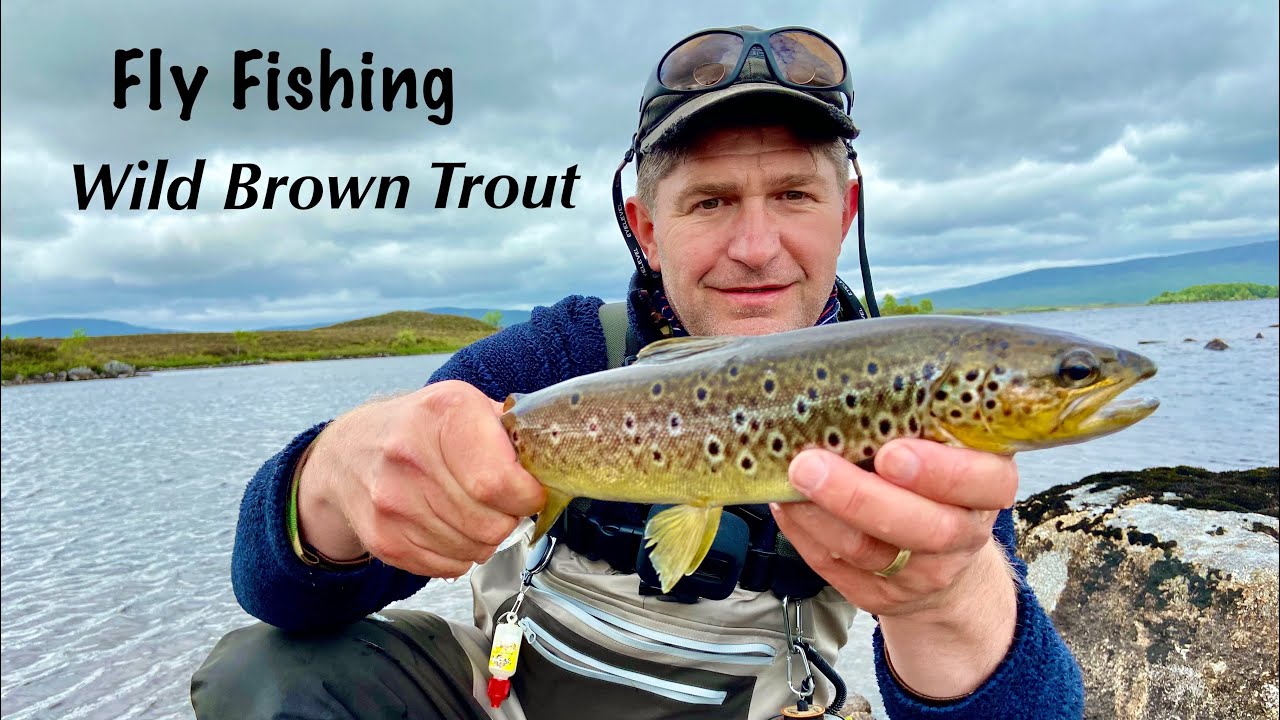 Trout Fishing Scotland- Wild  highland Loch 🏴󠁧󠁢󠁳󠁣󠁴󠁿