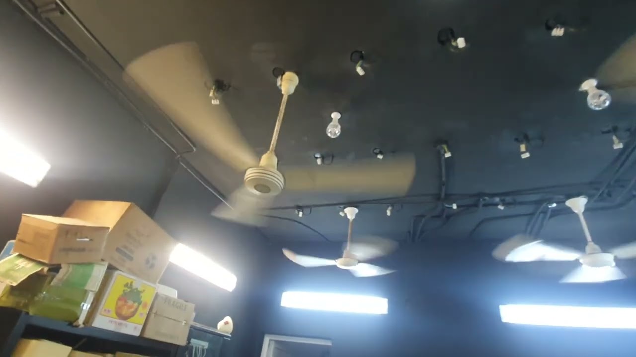 Various Ceiling Fans, 2023 installation