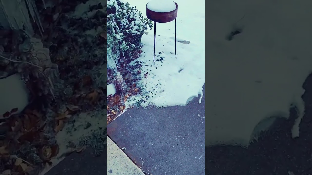 Blizzard conditions in texas: polar vortex 2021 